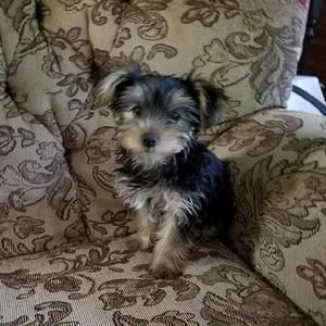 Meet your Posher, Jean